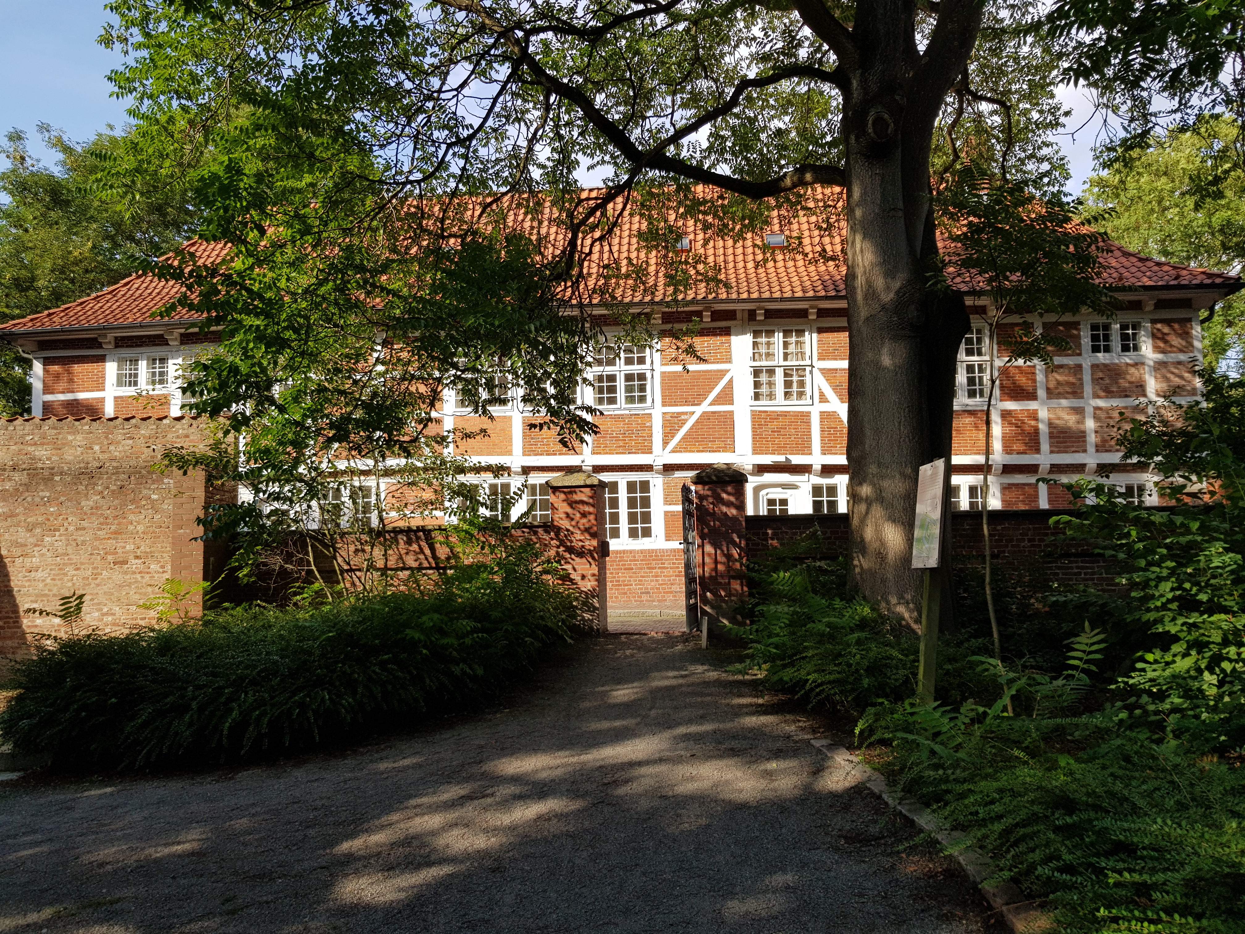 20190816_173018.jpg