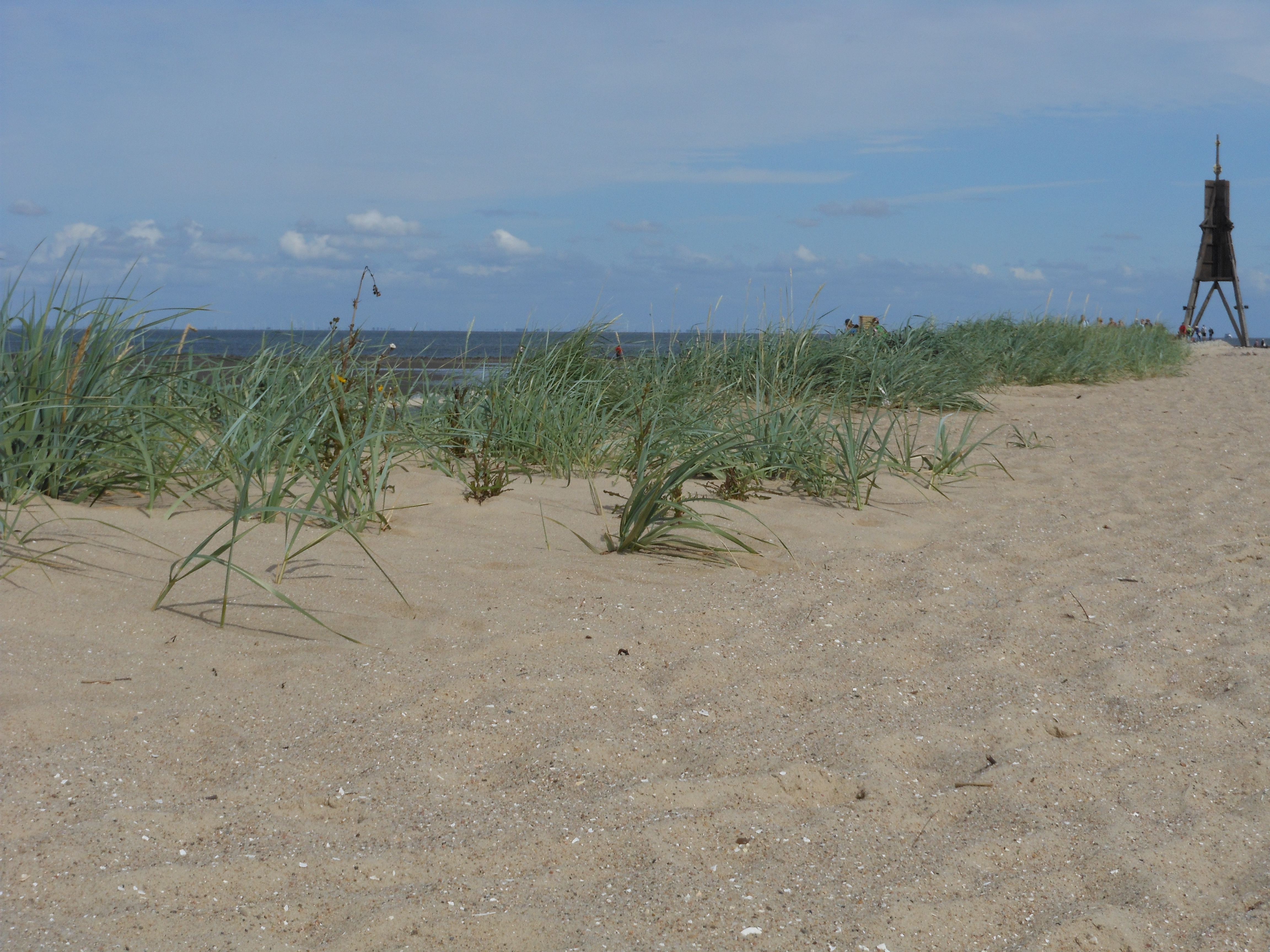 DSCN2899.jpg